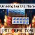Ginseng Für Die Niere 40